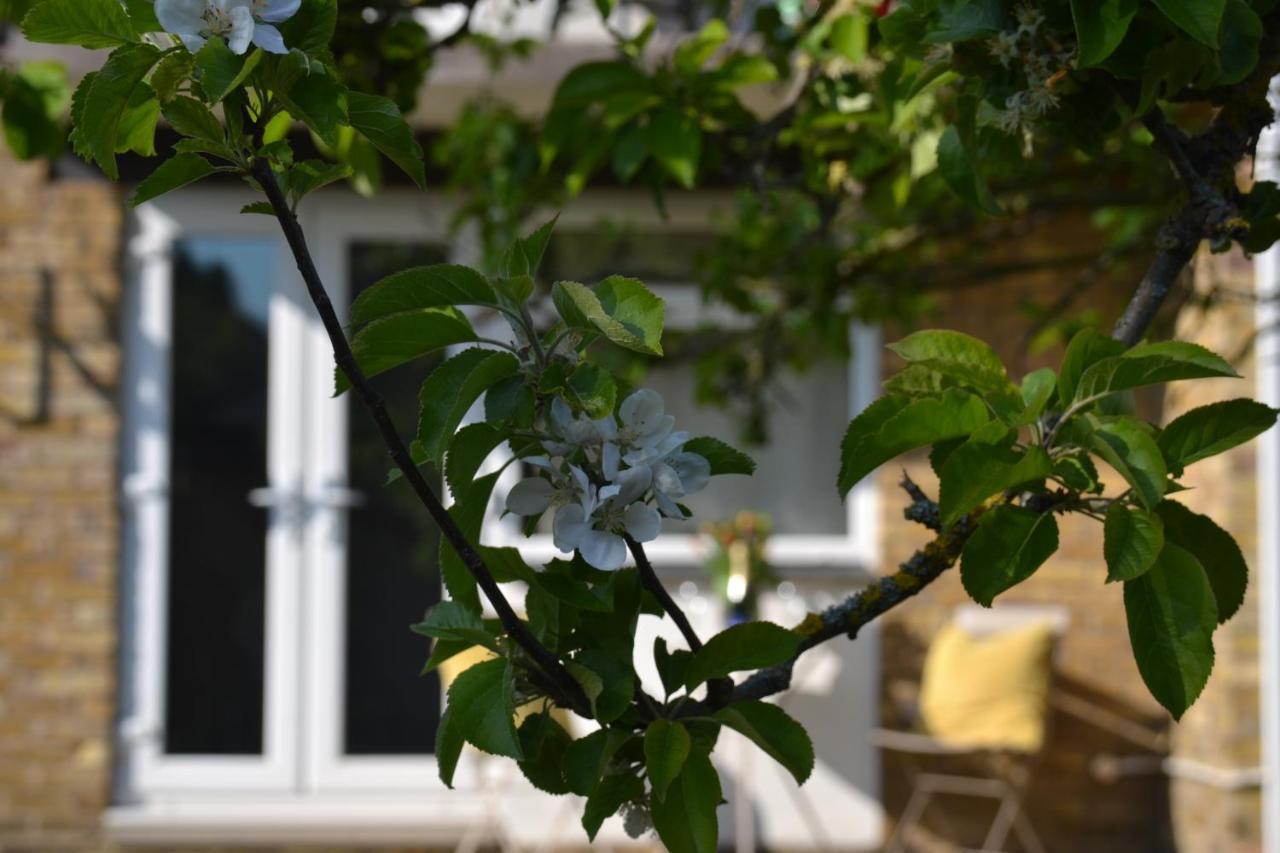 Epicsa - Family & Corporate Stay Mews Apartments With Free Parking CBG エクステリア 写真